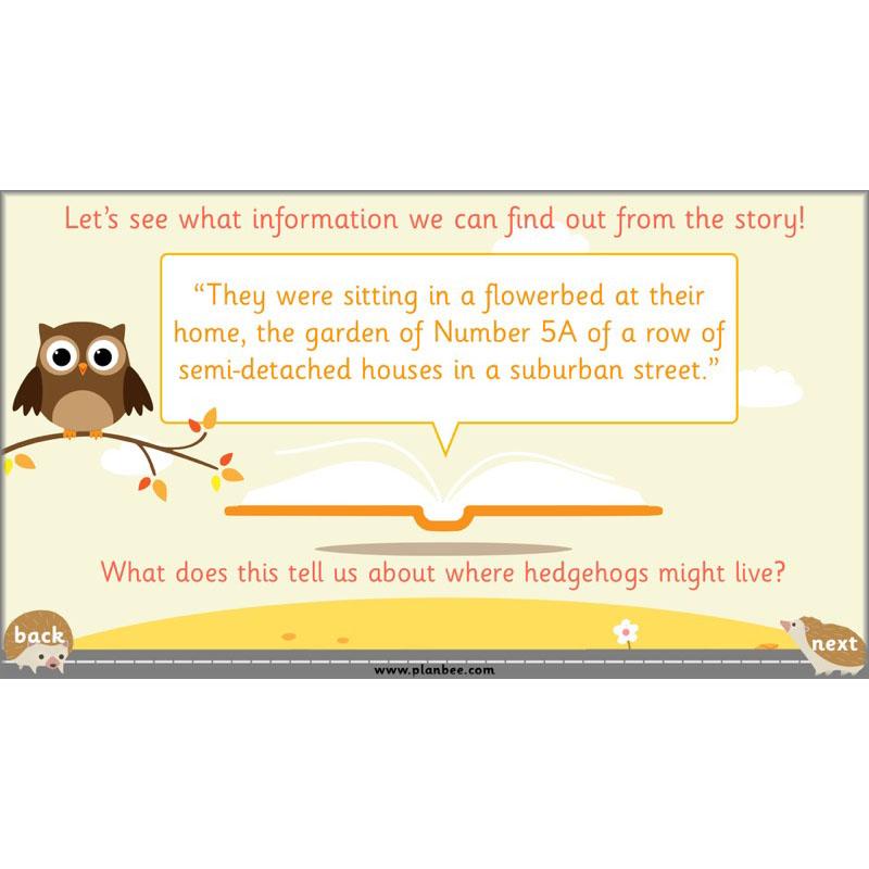 PlanBee The Hodgeheg Activities Non-Chronological Reports Year 2