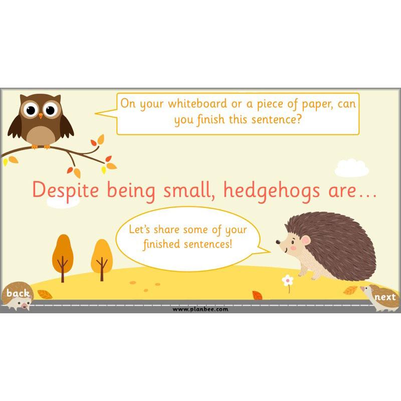 PlanBee The Hodgeheg Activities Non-Chronological Reports Year 2