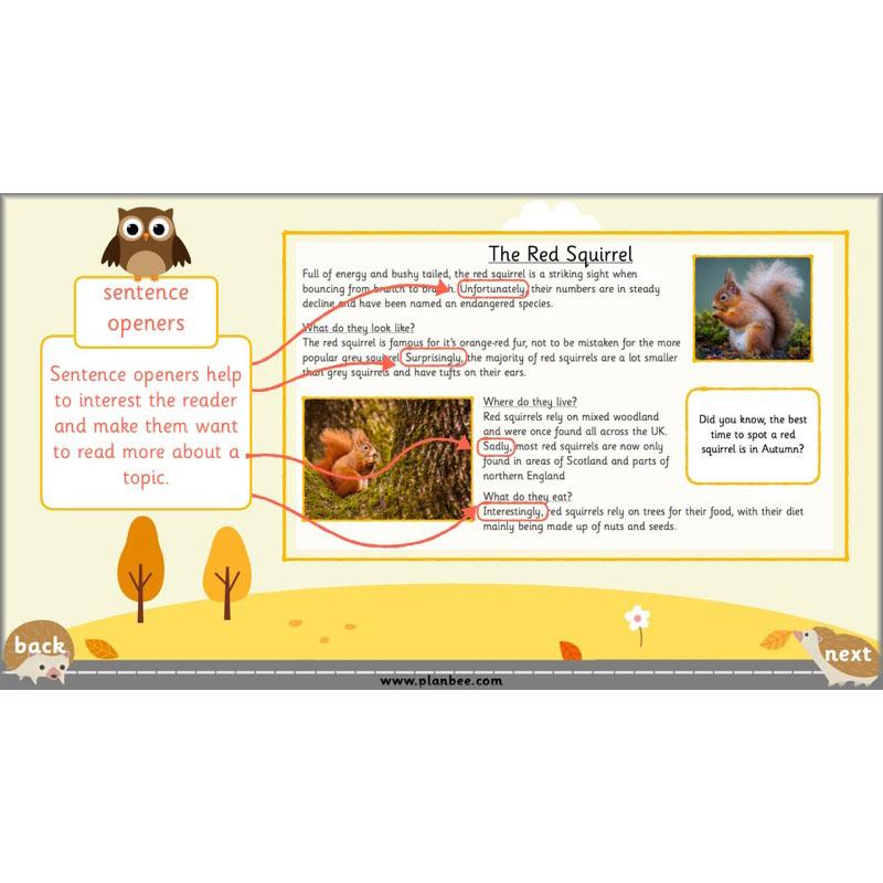 PlanBee The Hodgeheg Activities Non-Chronological Reports Year 2