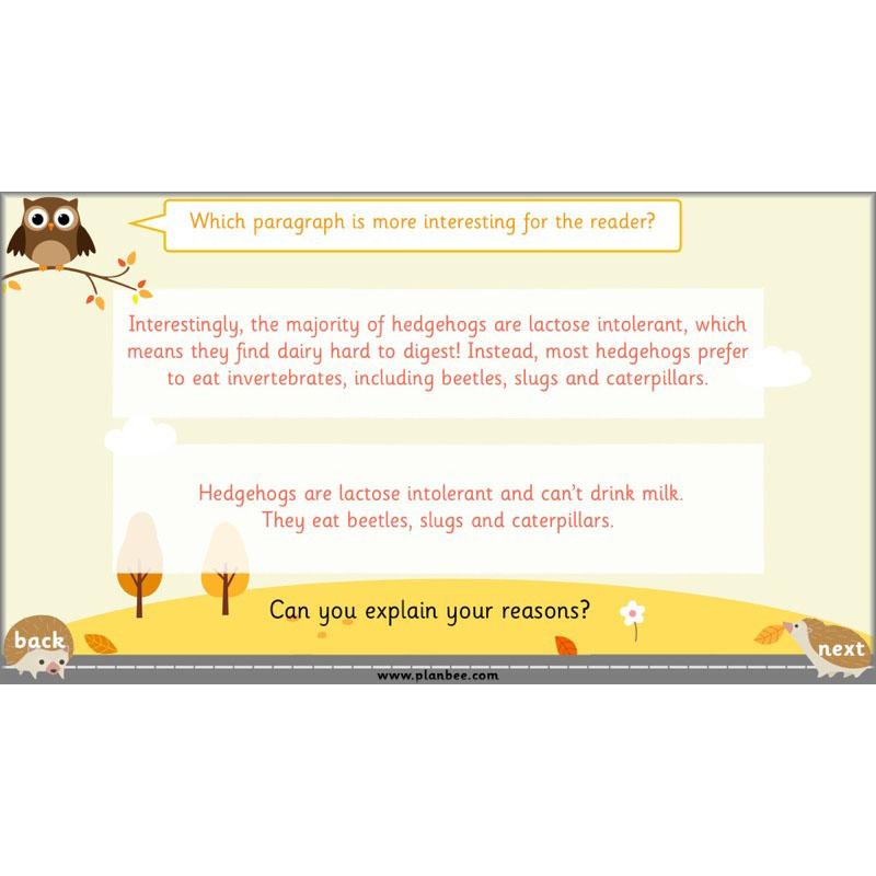 PlanBee The Hodgeheg Activities Non-Chronological Reports Year 2