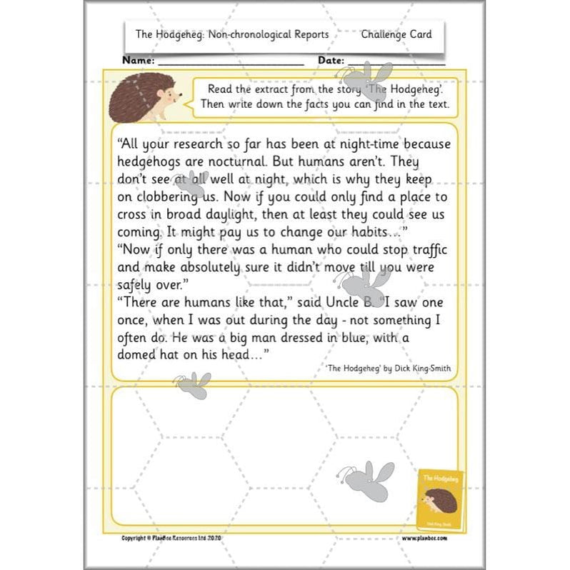 The Hodgeheg Activities Non-Chronological Reports Year 2 — PlanBee