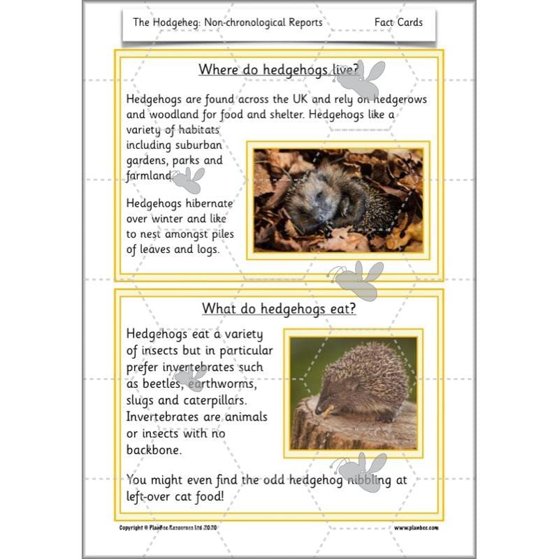 PlanBee The Hodgeheg Activities Non-Chronological Reports Year 2