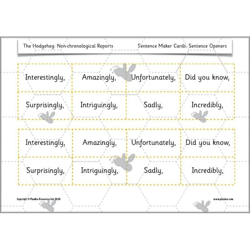 PlanBee The Hodgeheg Activities Non-Chronological Reports Year 2