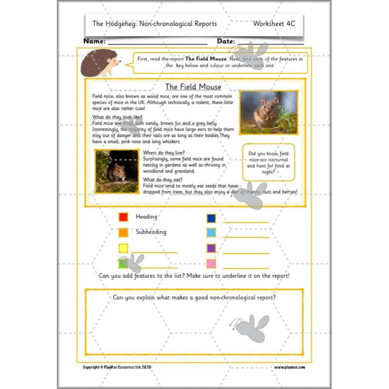 PlanBee The Hodgeheg Activities Non-Chronological Reports Year 2