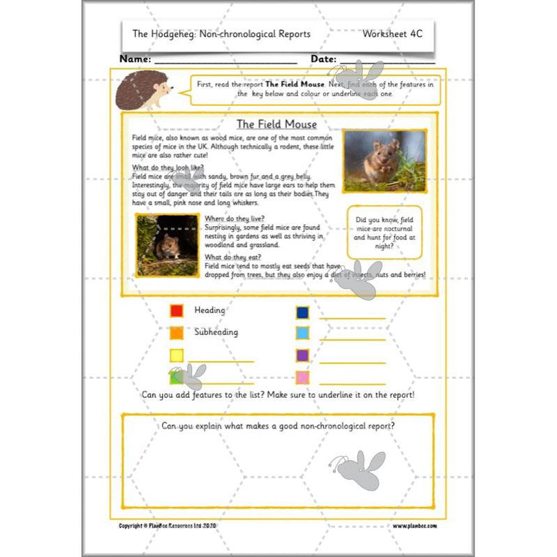 The Hodgeheg Activities Non-Chronological Reports Year 2 — PlanBee