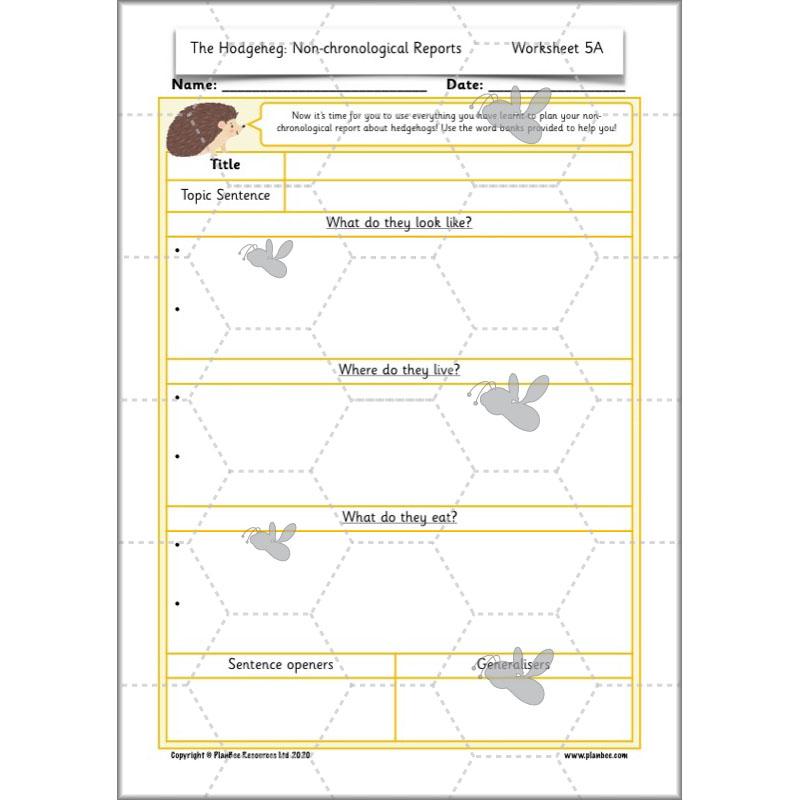 PlanBee The Hodgeheg Activities Non-Chronological Reports Year 2