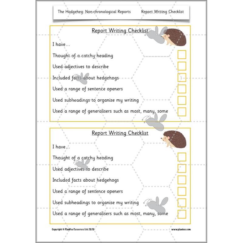 PlanBee The Hodgeheg Activities Non-Chronological Reports Year 2