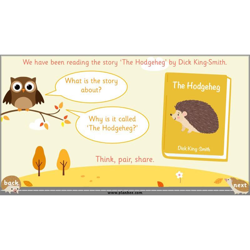 PlanBee The Hodgeheg Activities Non-Chronological Reports Year 2