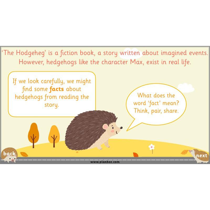 PlanBee The Hodgeheg Activities Non-Chronological Reports Year 2