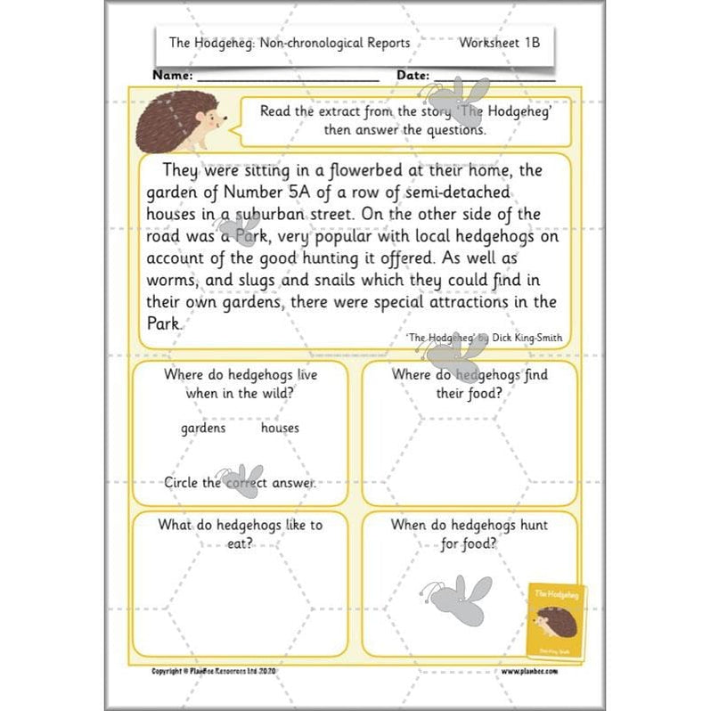 The Hodgeheg Activities Non-chronological Reports Year 2 — Planbee