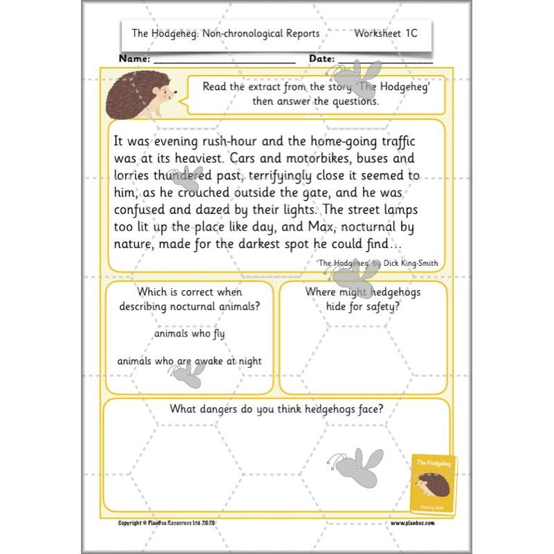 PlanBee The Hodgeheg Activities Non-Chronological Reports Year 2