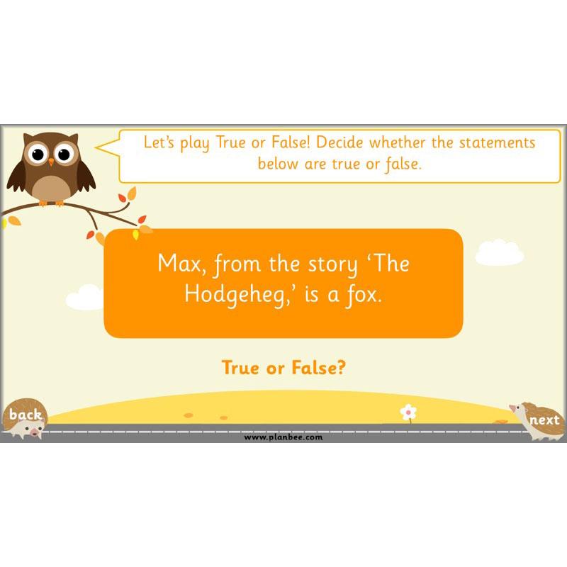 PlanBee The Hodgeheg Activities Non-Chronological Reports Year 2