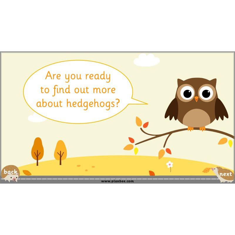 PlanBee The Hodgeheg Activities Non-Chronological Reports Year 2