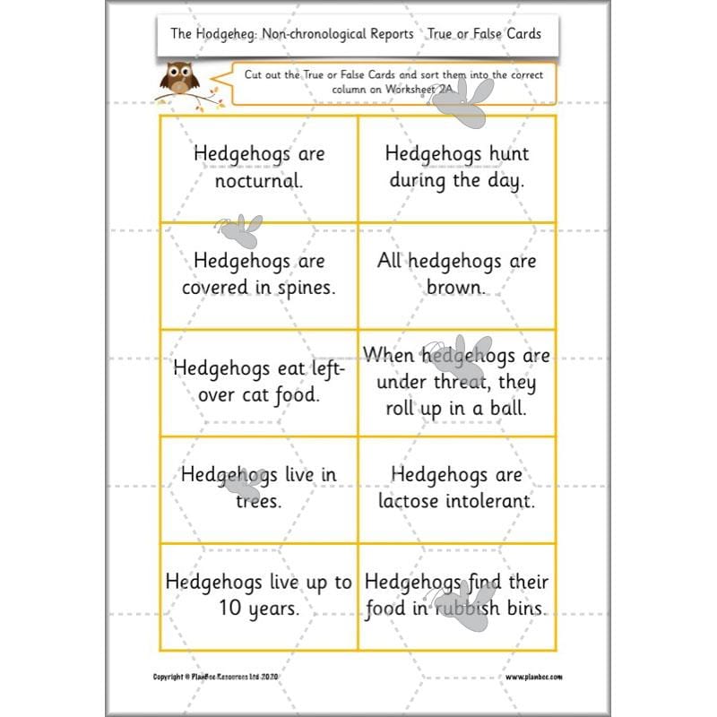PlanBee The Hodgeheg Activities Non-Chronological Reports Year 2