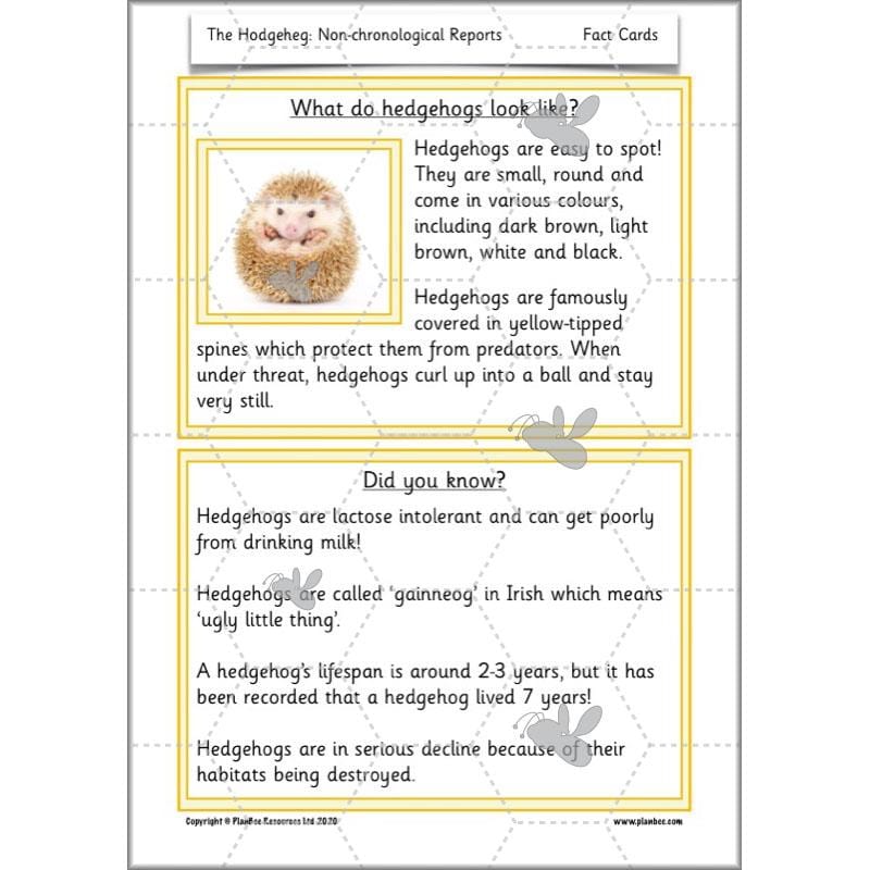 PlanBee The Hodgeheg Activities Non-Chronological Reports Year 2