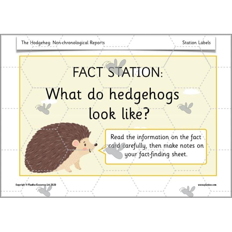 PlanBee The Hodgeheg Activities Non-Chronological Reports Year 2