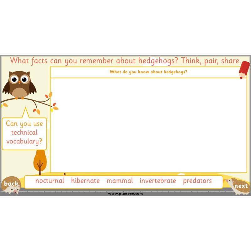 PlanBee The Hodgeheg Activities Non-Chronological Reports Year 2