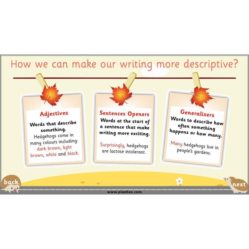 PlanBee The Hodgeheg Activities Non-Chronological Reports Year 2