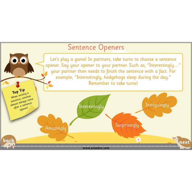 PlanBee The Hodgeheg Activities Non-Chronological Reports Year 2