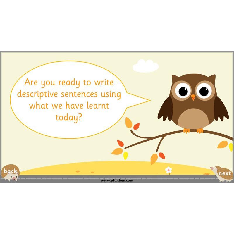 PlanBee The Hodgeheg Activities Non-Chronological Reports Year 2