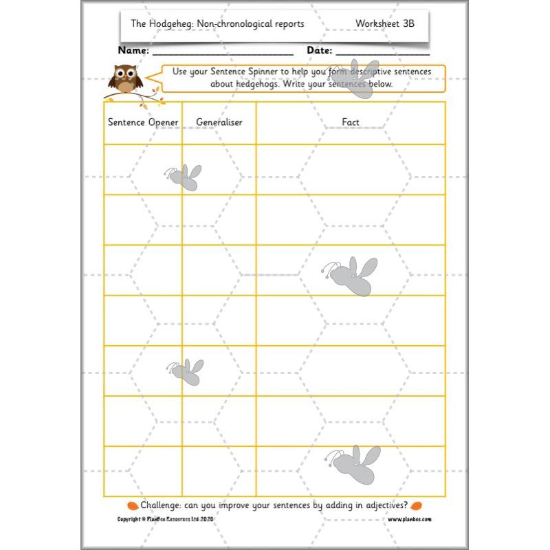 PlanBee The Hodgeheg Activities Non-Chronological Reports Year 2