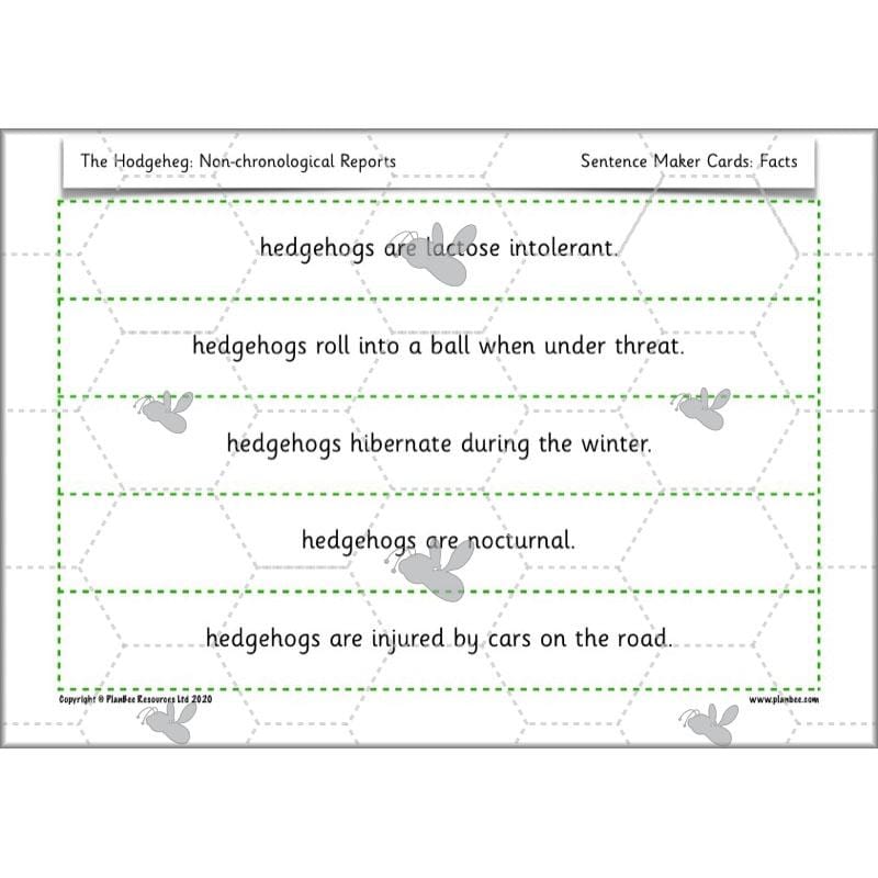PlanBee The Hodgeheg Activities Non-Chronological Reports Year 2