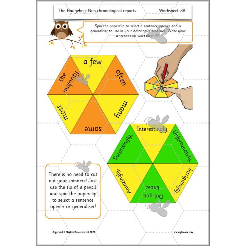 PlanBee The Hodgeheg Activities Non-Chronological Reports Year 2