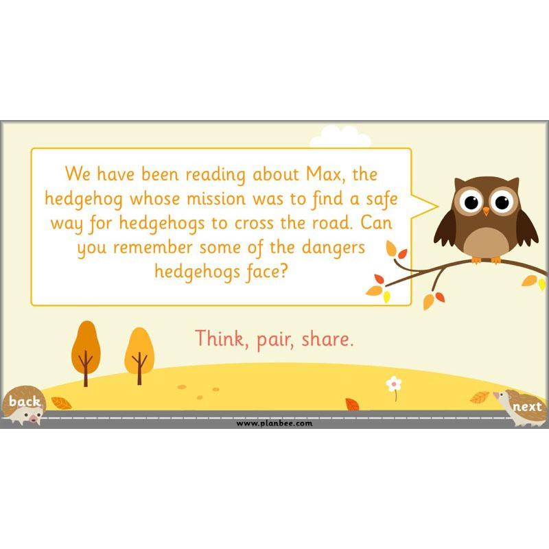 PlanBee The Hodgeheg Activities Non-Chronological Reports Year 2