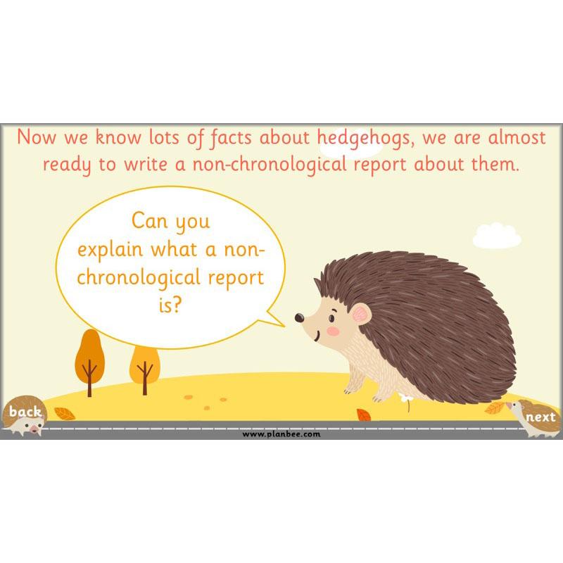 PlanBee The Hodgeheg Activities Non-Chronological Reports Year 2