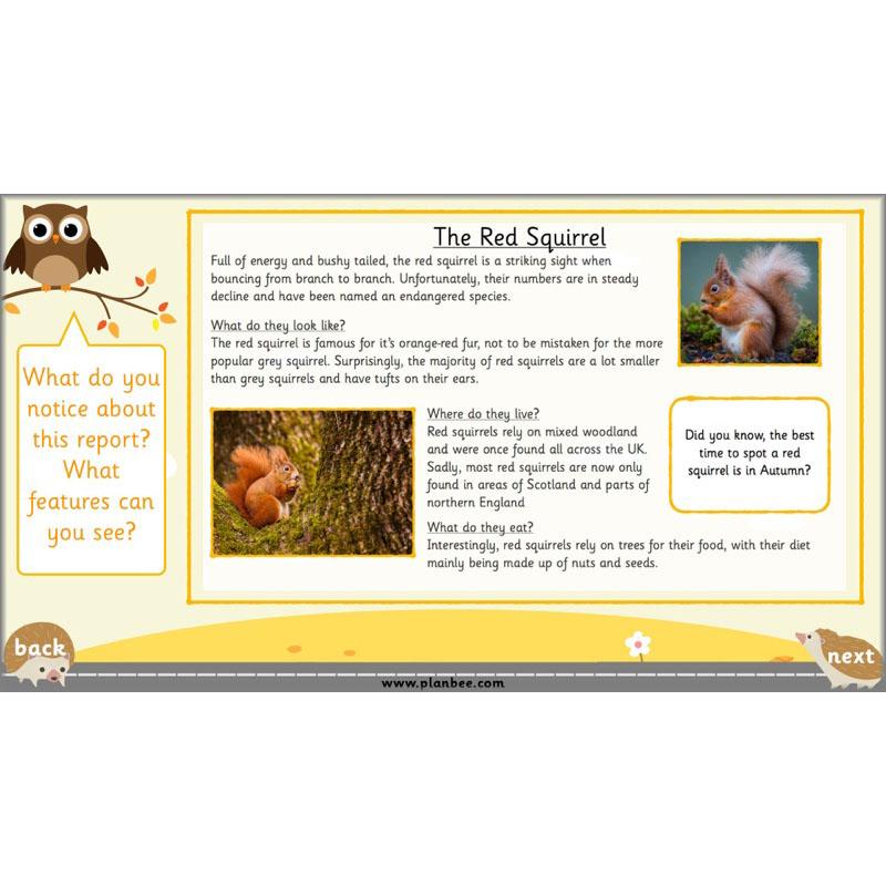 PlanBee The Hodgeheg Activities Non-Chronological Reports Year 2