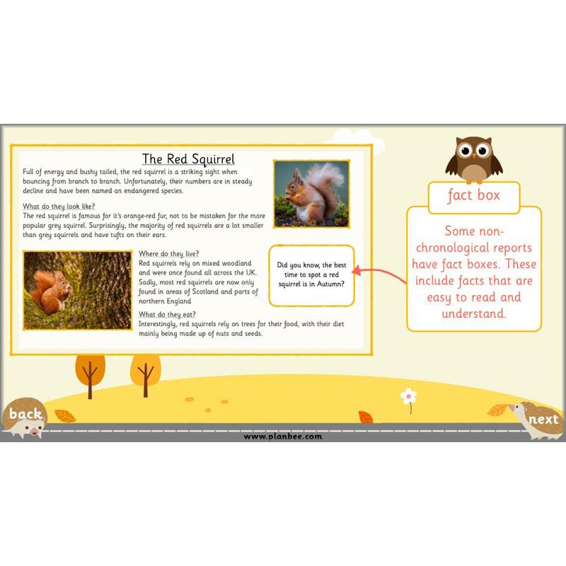 PlanBee The Hodgeheg Activities Non-Chronological Reports Year 2