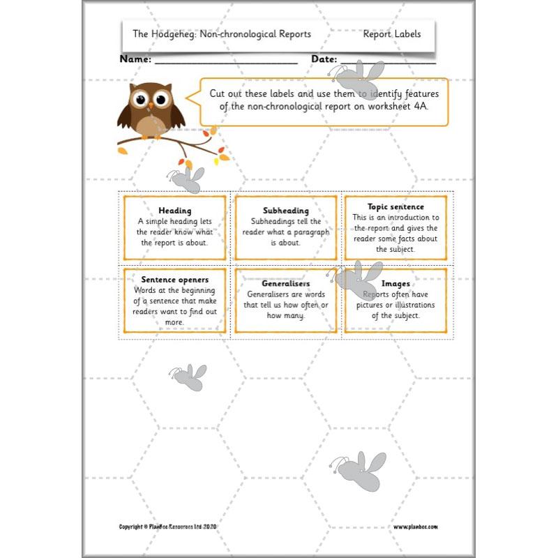 PlanBee The Hodgeheg Activities Non-Chronological Reports Year 2