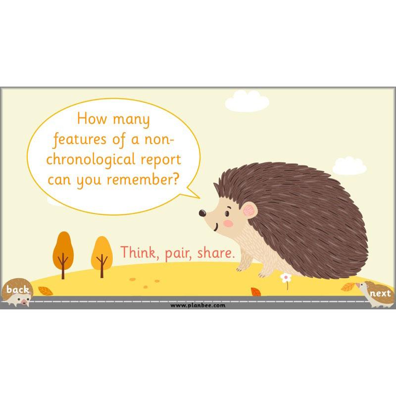 PlanBee The Hodgeheg Activities Non-Chronological Reports Year 2