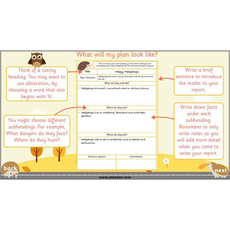 PlanBee The Hodgeheg Activities Non-Chronological Reports Year 2