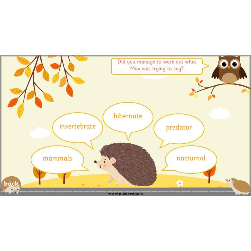 PlanBee The Hodgeheg Activities Non-Chronological Reports Year 2