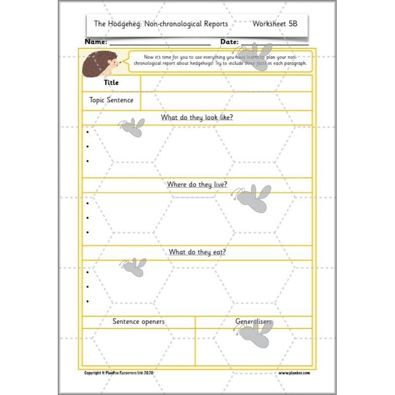 PlanBee The Hodgeheg Activities Non-Chronological Reports Year 2