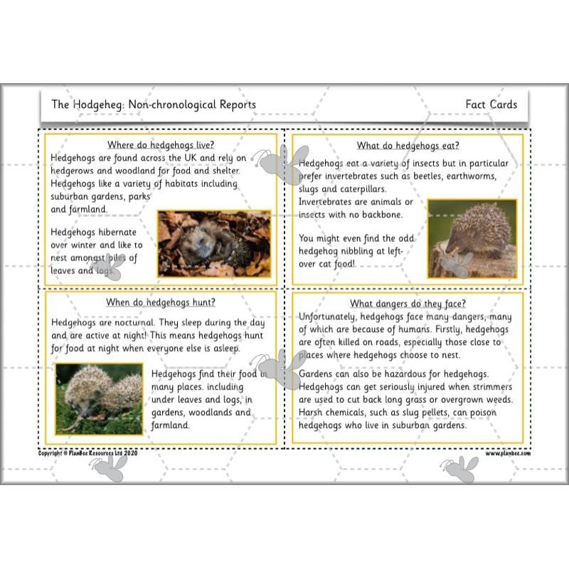 PlanBee The Hodgeheg Activities Non-Chronological Reports Year 2