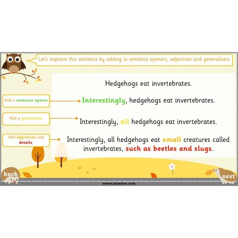 PlanBee The Hodgeheg Activities Non-Chronological Reports Year 2