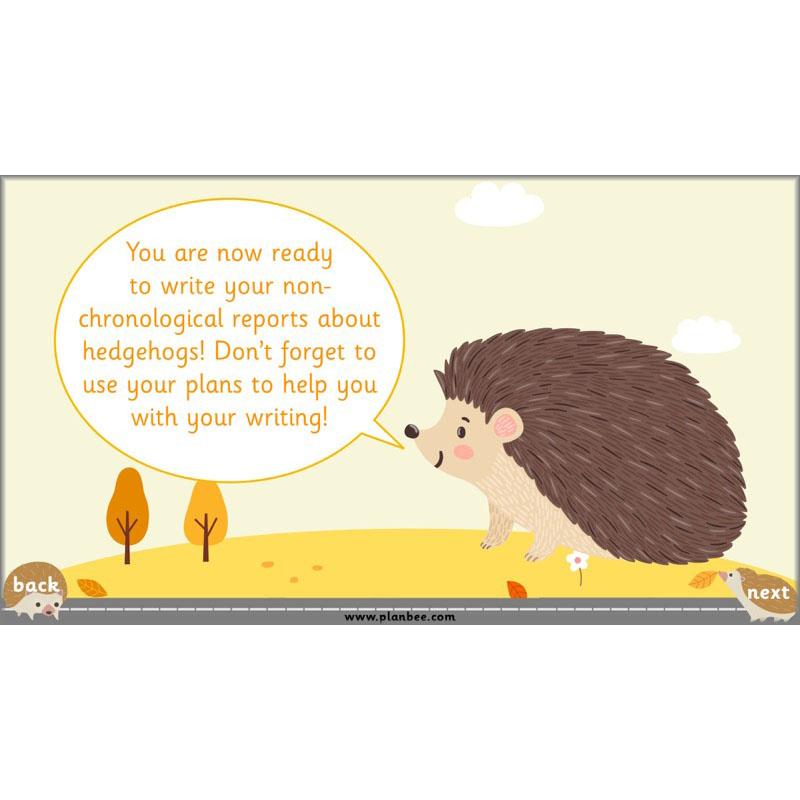 PlanBee The Hodgeheg Activities Non-Chronological Reports Year 2