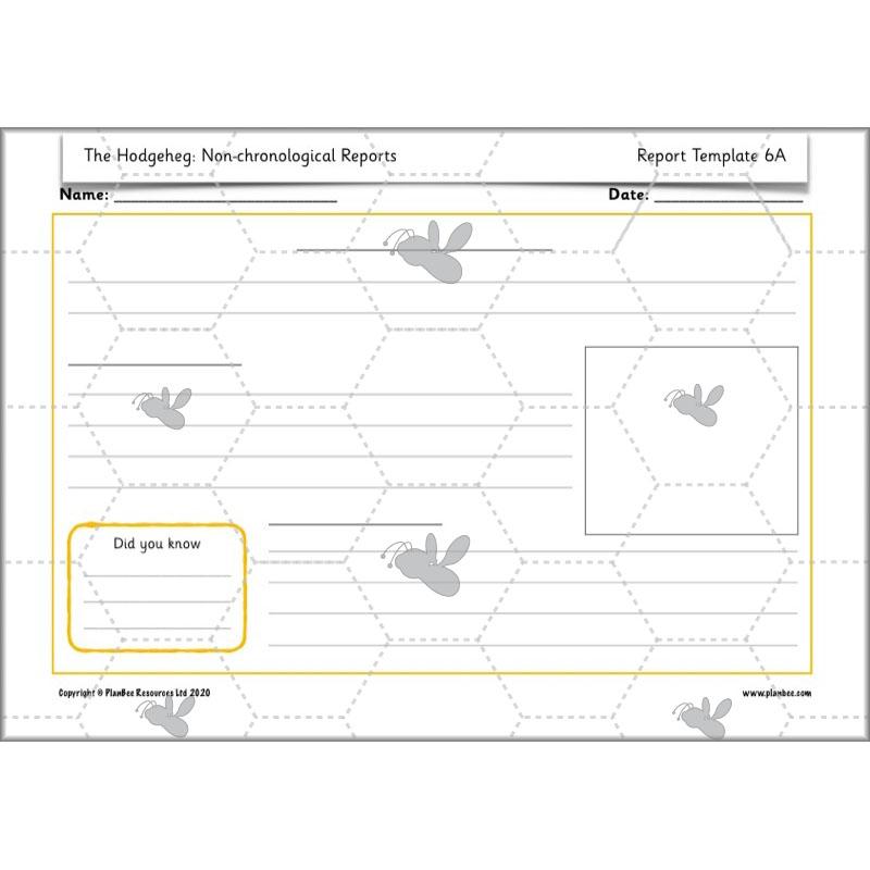 PlanBee The Hodgeheg Activities Non-Chronological Reports Year 2
