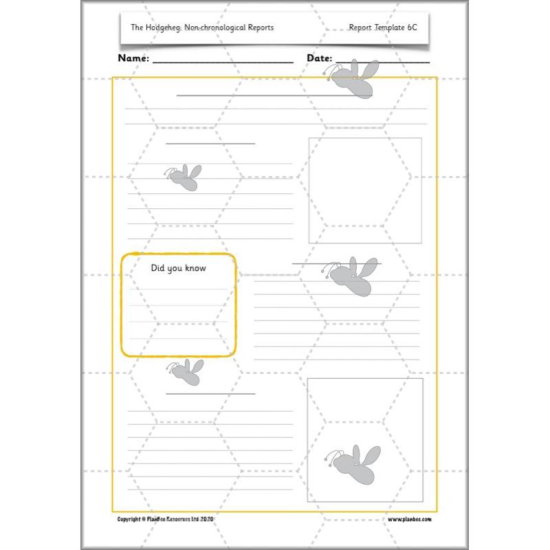 PlanBee The Hodgeheg Activities Non-Chronological Reports Year 2
