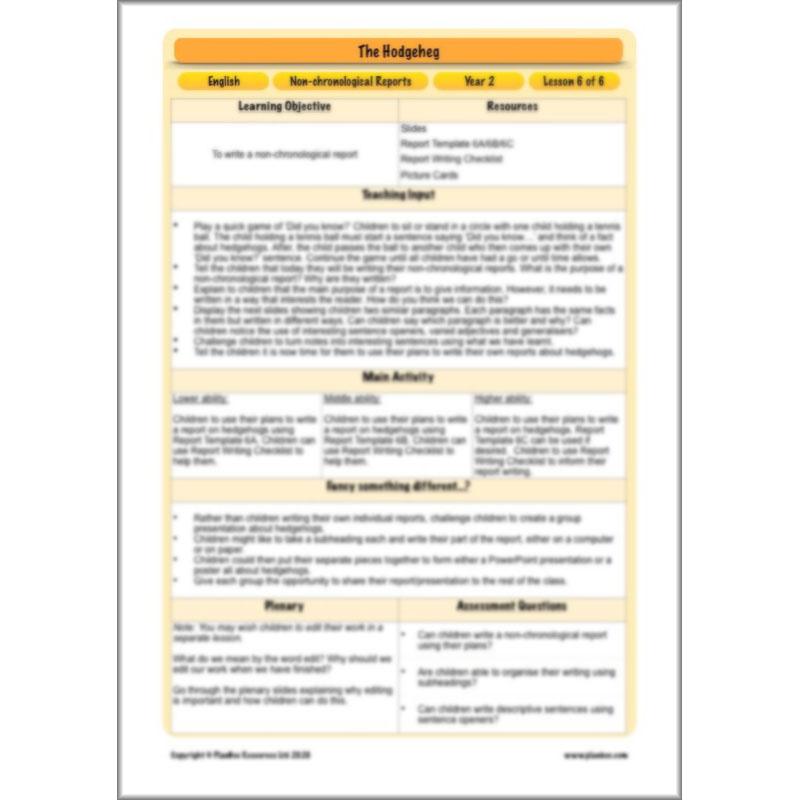 PlanBee The Hodgeheg Activities Non-Chronological Reports Year 2