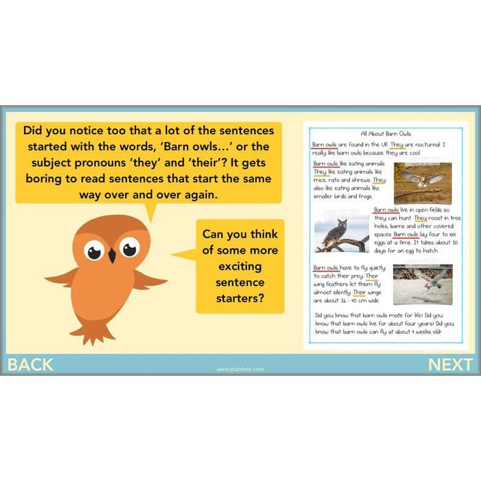PlanBee The Owl who was Afraid of the Dark Resources for Year 3
