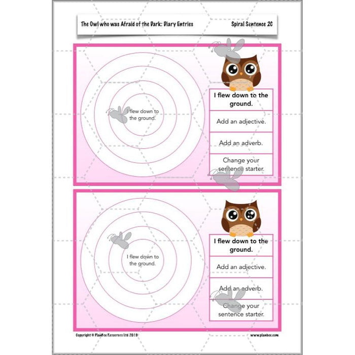 PlanBee The Owl who was Afraid of the Dark Resources for Year 3