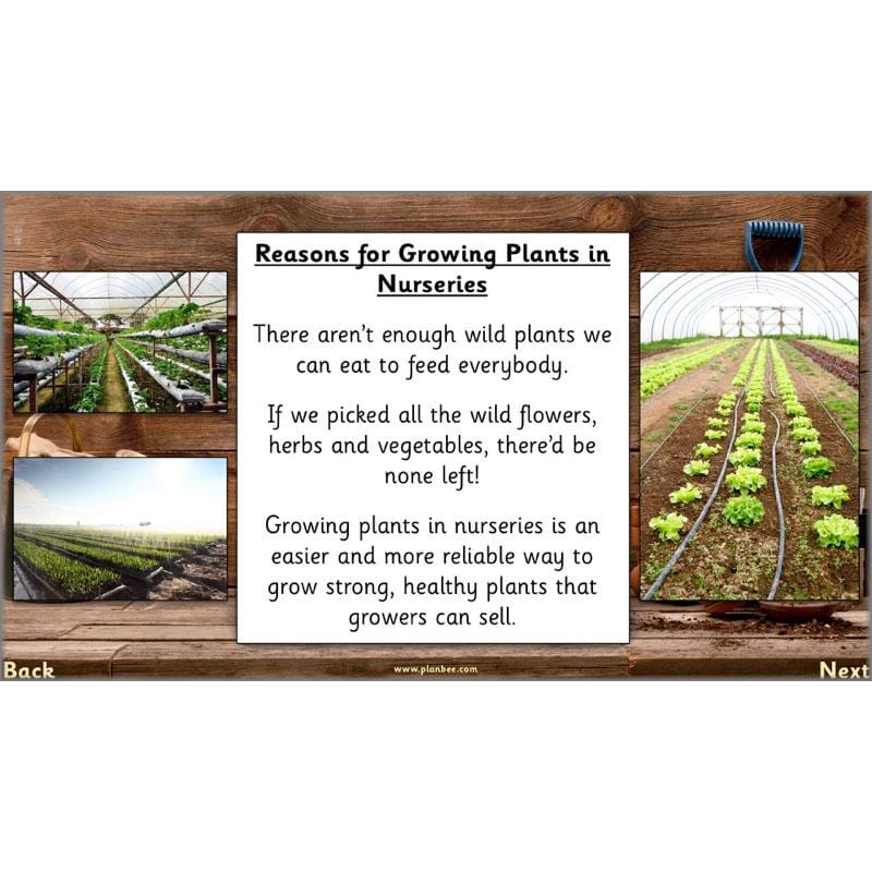 PlanBee Secret World of Plants - KS1 Science Scheme of Work: Year 2