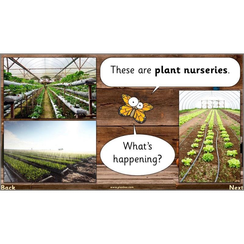 PlanBee Secret World of Plants - KS1 Science Scheme of Work: Year 2