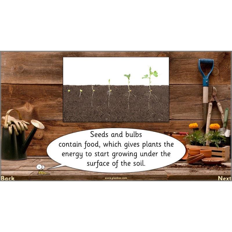 PlanBee Secret World of Plants - KS1 Science Scheme of Work: Year 2