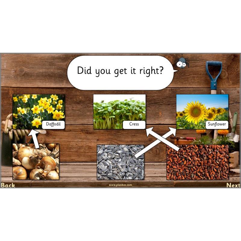 PlanBee Secret World of Plants - KS1 Science Scheme of Work: Year 2