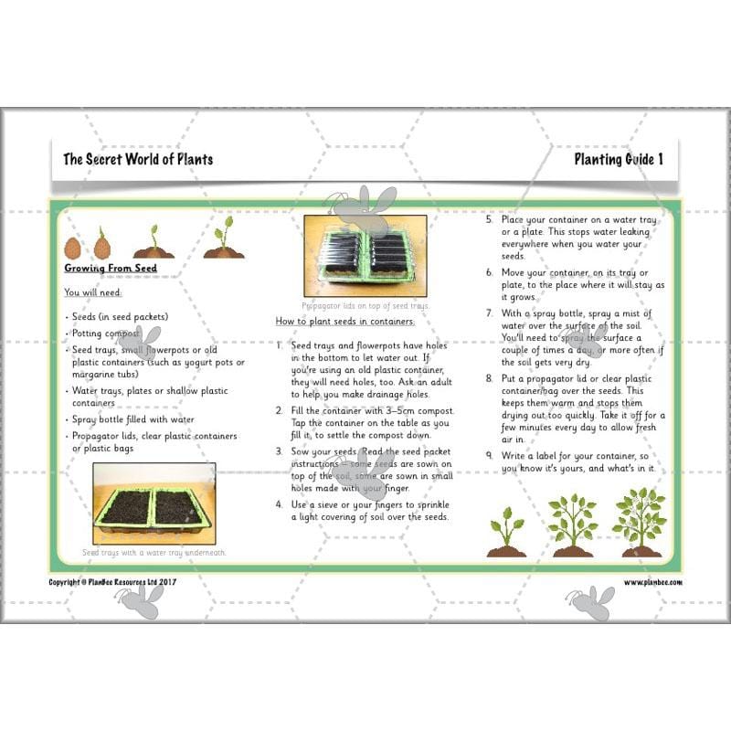 PlanBee Secret World of Plants - KS1 Science Scheme of Work: Year 2