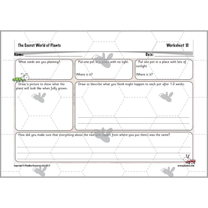 PlanBee Secret World of Plants - KS1 Science Scheme of Work: Year 2